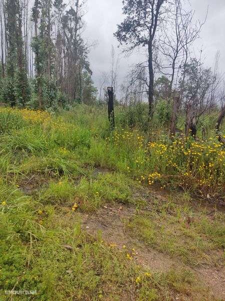 Terreno para construção - Grande imagem: 4/10