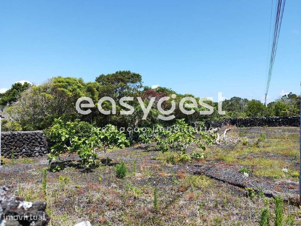 Terreno urbano na freguesia da Criação Velha com 1.800m2 - Grande imagem: 2/20