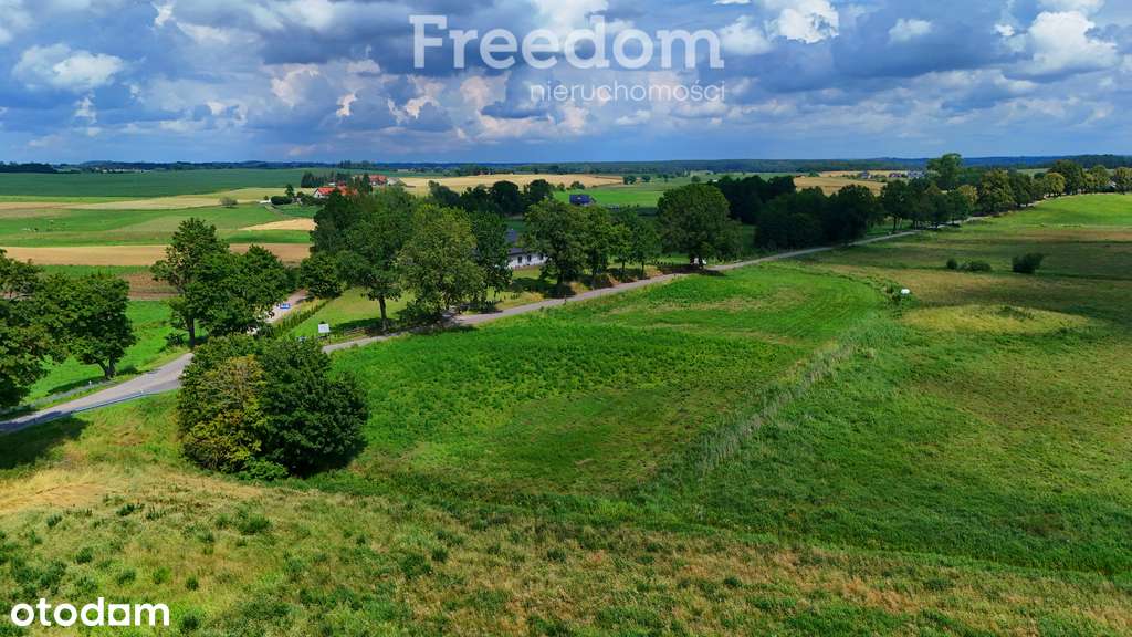 Kożuchy Wielkie k. Giżycka - działka 4000m2 - Pełny obrazek: 4/9