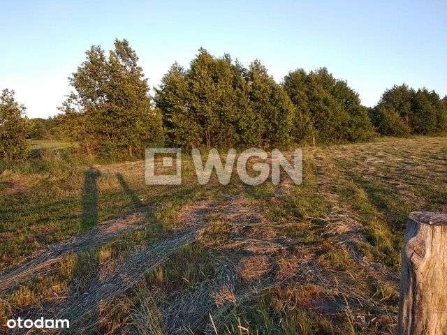 Sasino, działka rekreacyjna blisko morza. - Pełny obrazek: 5/5