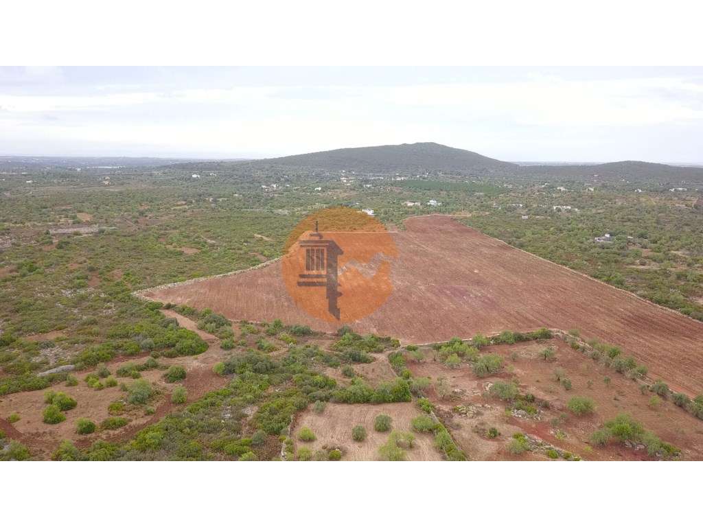 Moradia típica com terreno agrícola em Santa Catarina da Fonte do B... - Grande imagem: 4/45