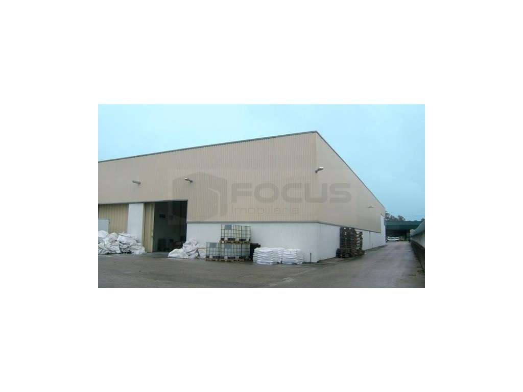 Armazém para arrendamento Mamodeiro - Grande imagem: 1/2