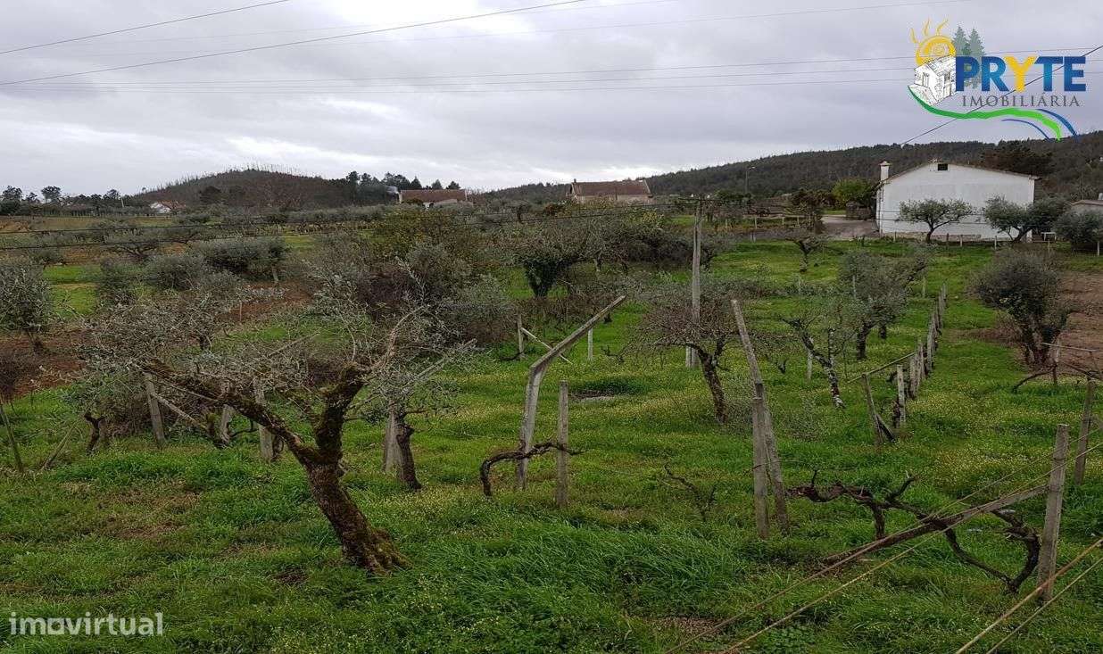 Moradia T3 no Outeiro do Pampilhal - Cernache do Bonjardim - Grande imagem: 3/25