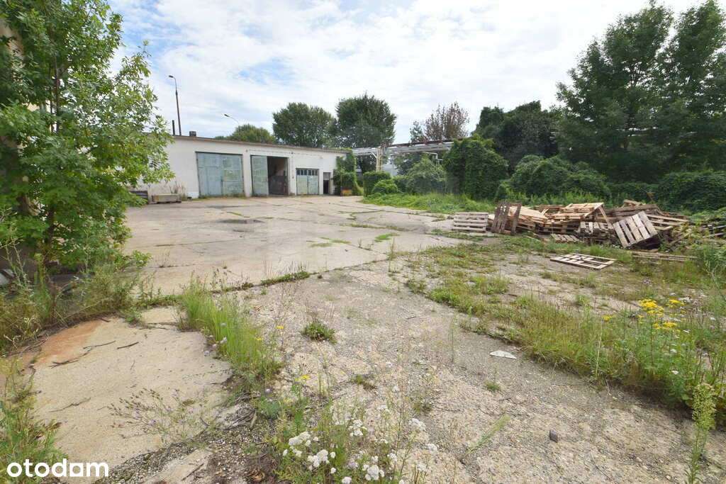 Azoty, Kędzierzyn Koźle - Pełny obrazek: 5/9