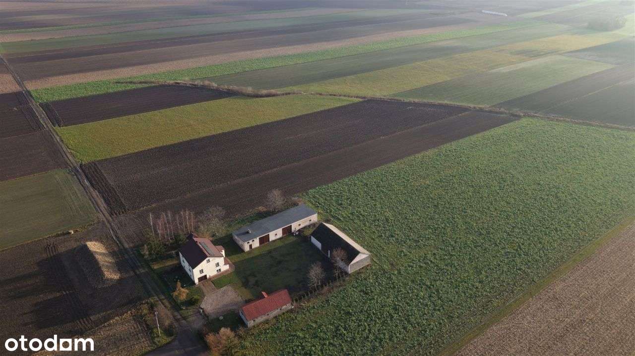 Twoje siedlisko blisko miasta – działka z Wz-5