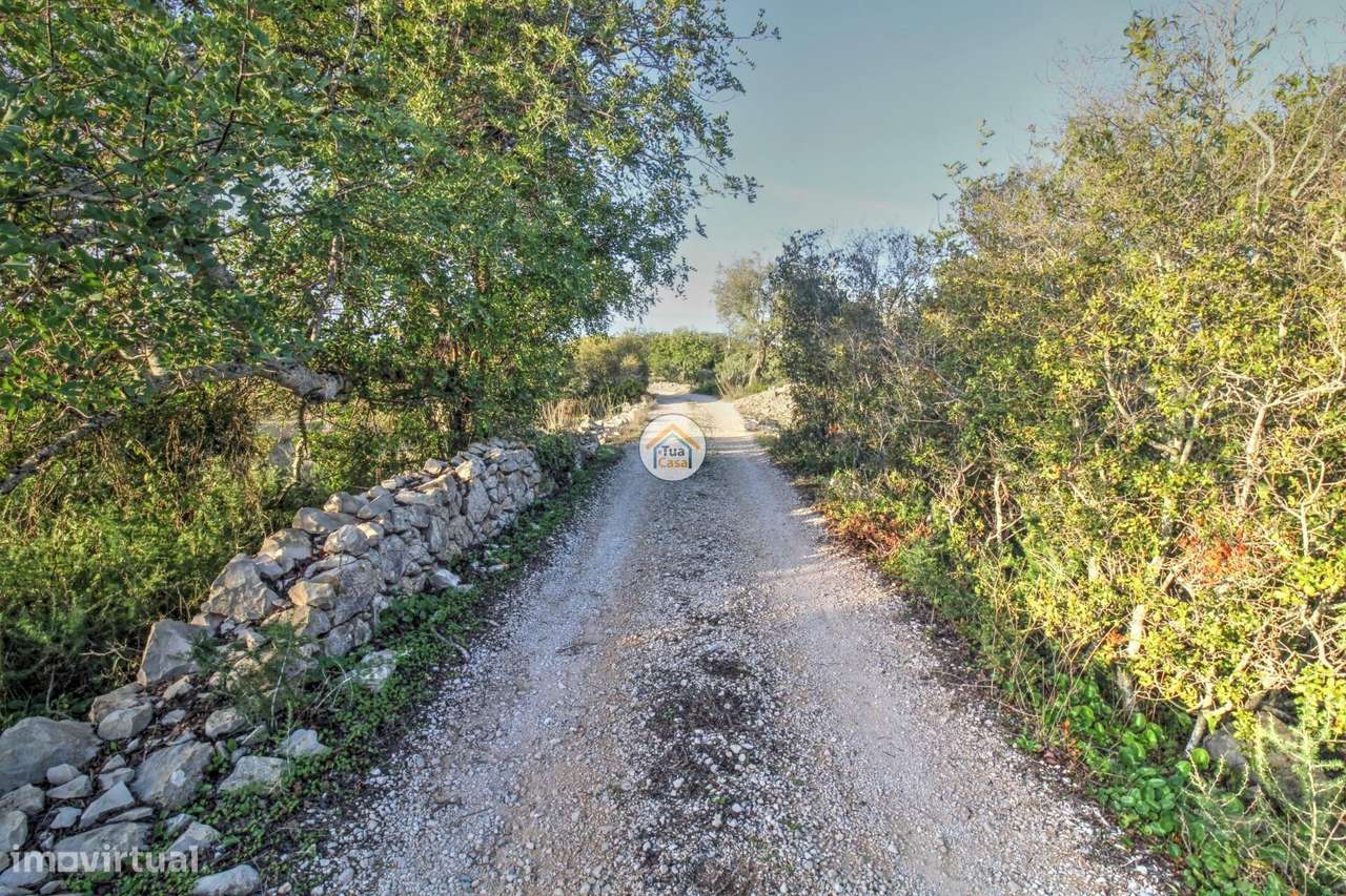 Terreno Rústico Benatrite - Faro 1480 M2 - Grande imagem: 2/31