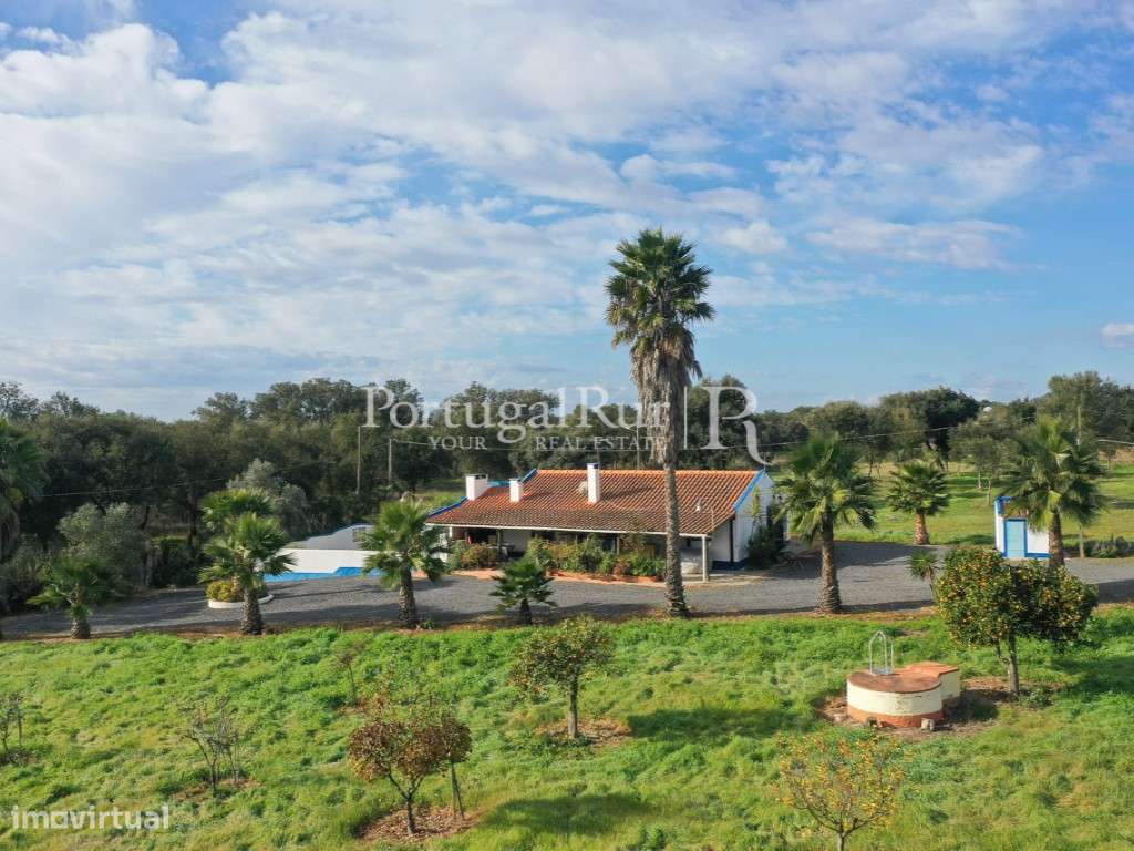 Quinta de 5 hectares, com 2 moradias e piscina-45
