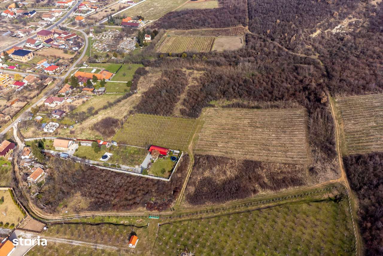 Teren intravilan în Șiria pe deal - Imagine principală: 5/6