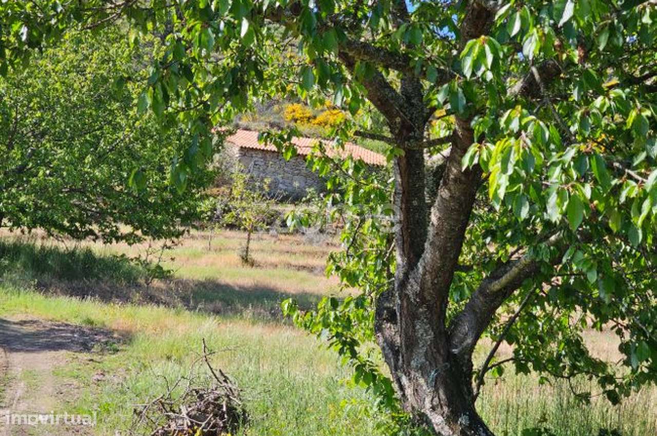 Terreno com 6 hectares - Grande imagem: 5/22