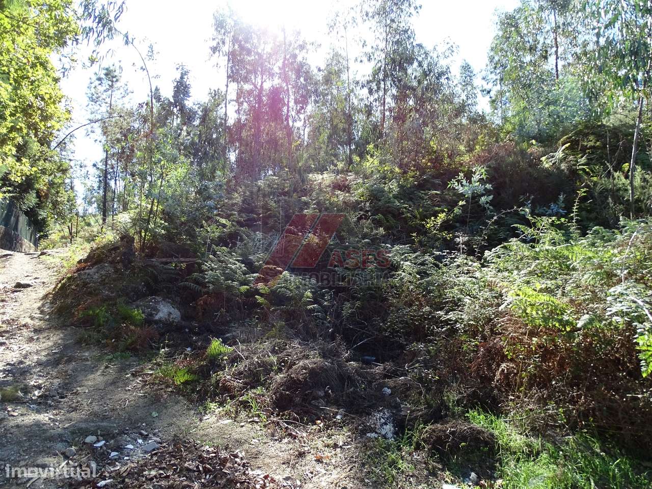 TERRENO PARA CONSTRUÇÃO EM SERAFÃO - FAFE!-9