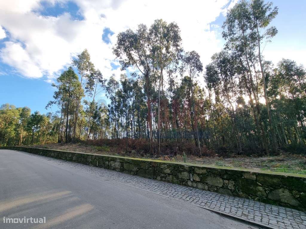 Terreno de construção em Gamil Barcelos - Grande imagem: 4/5