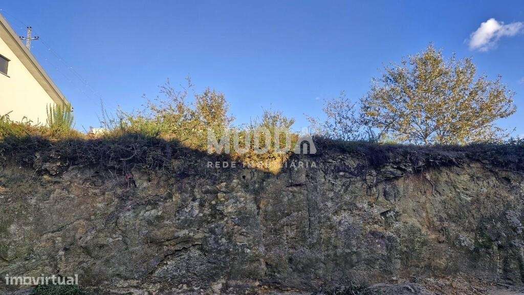 Terreno Plano com Óptima Localização – Cucujães, Oliveira de Azeméis-5