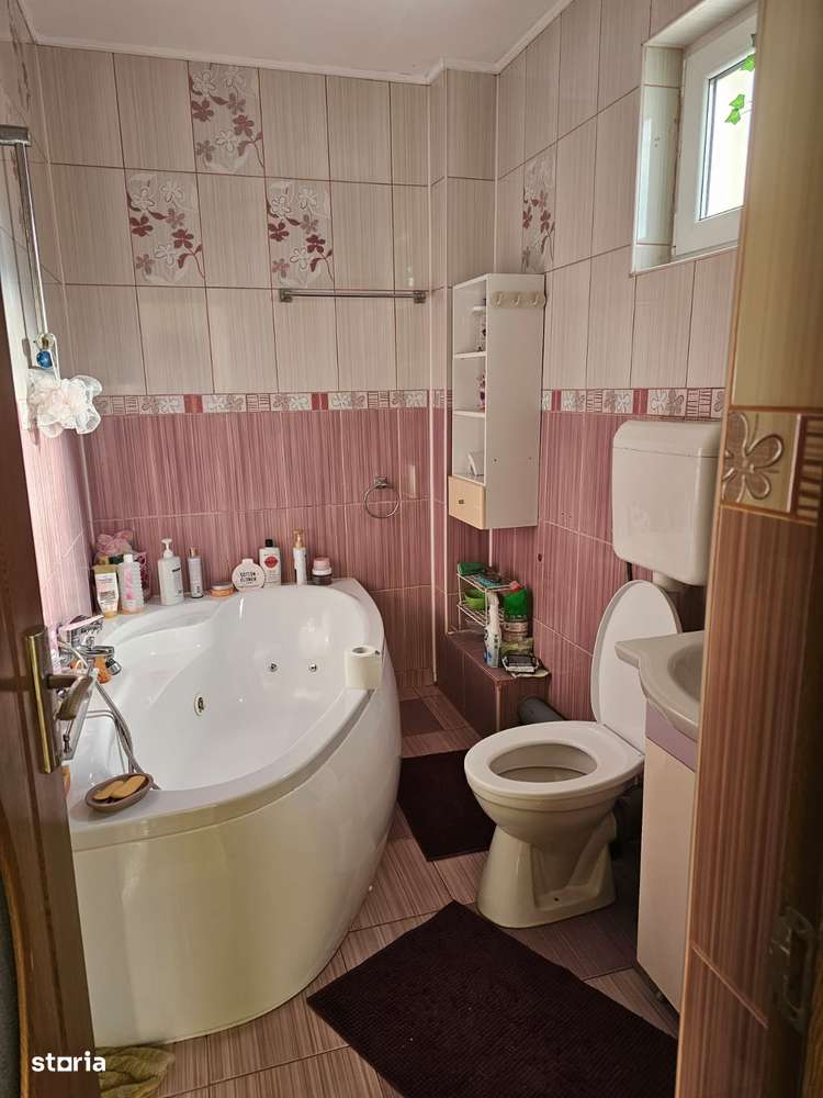 Vila de vanzare Andronache-13