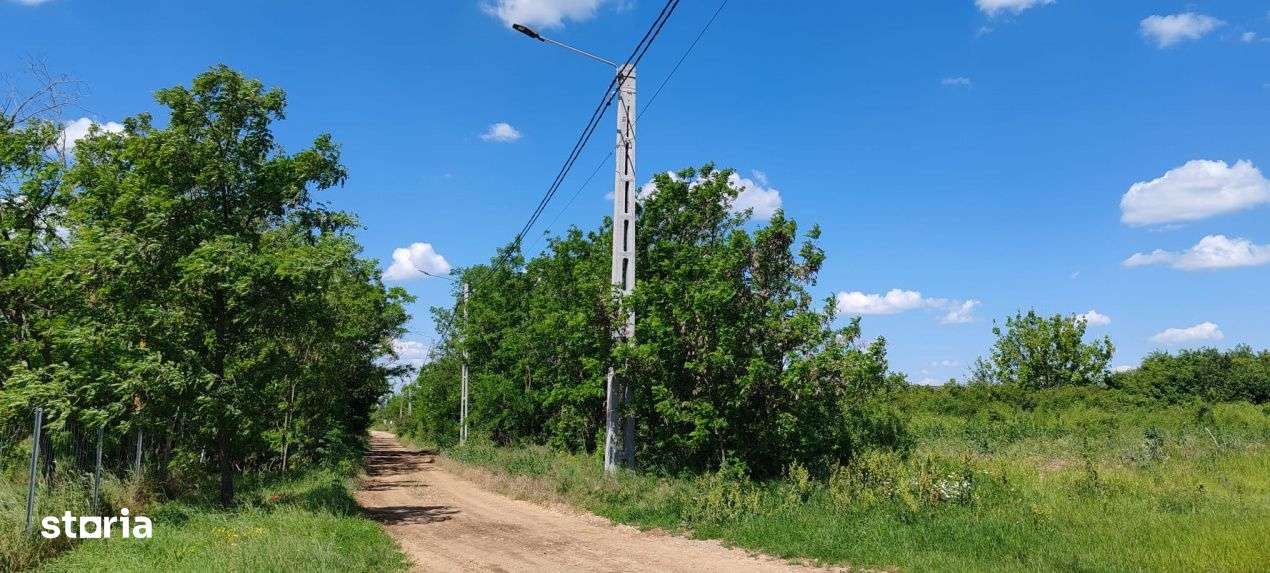 Teren extravilan deosebit, 5755 mp pe malul lacului Miersig, Bihor-4