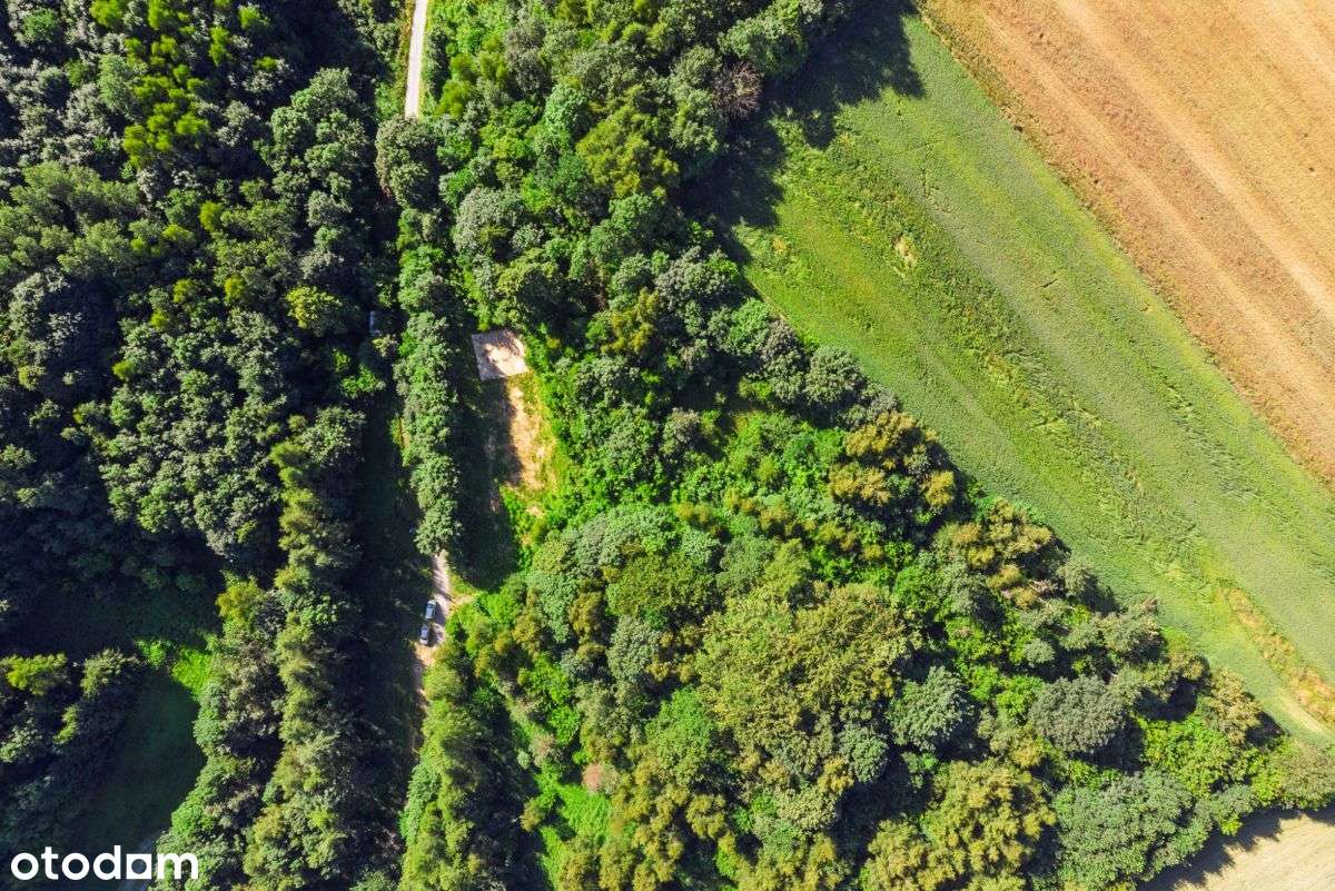 Malownicza duża działka z PnB - Pełny obrazek: 4/16