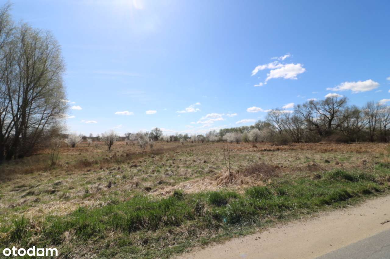 Działki w Słubicach – ul. Jastrzębia-6