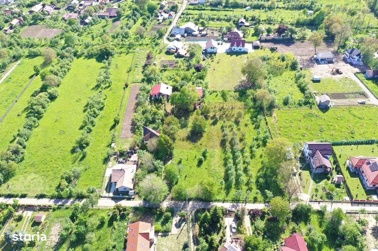 Teren intravilan de vanzare in Brebu (zona foarte linistita) - Imagine principală: 4/7