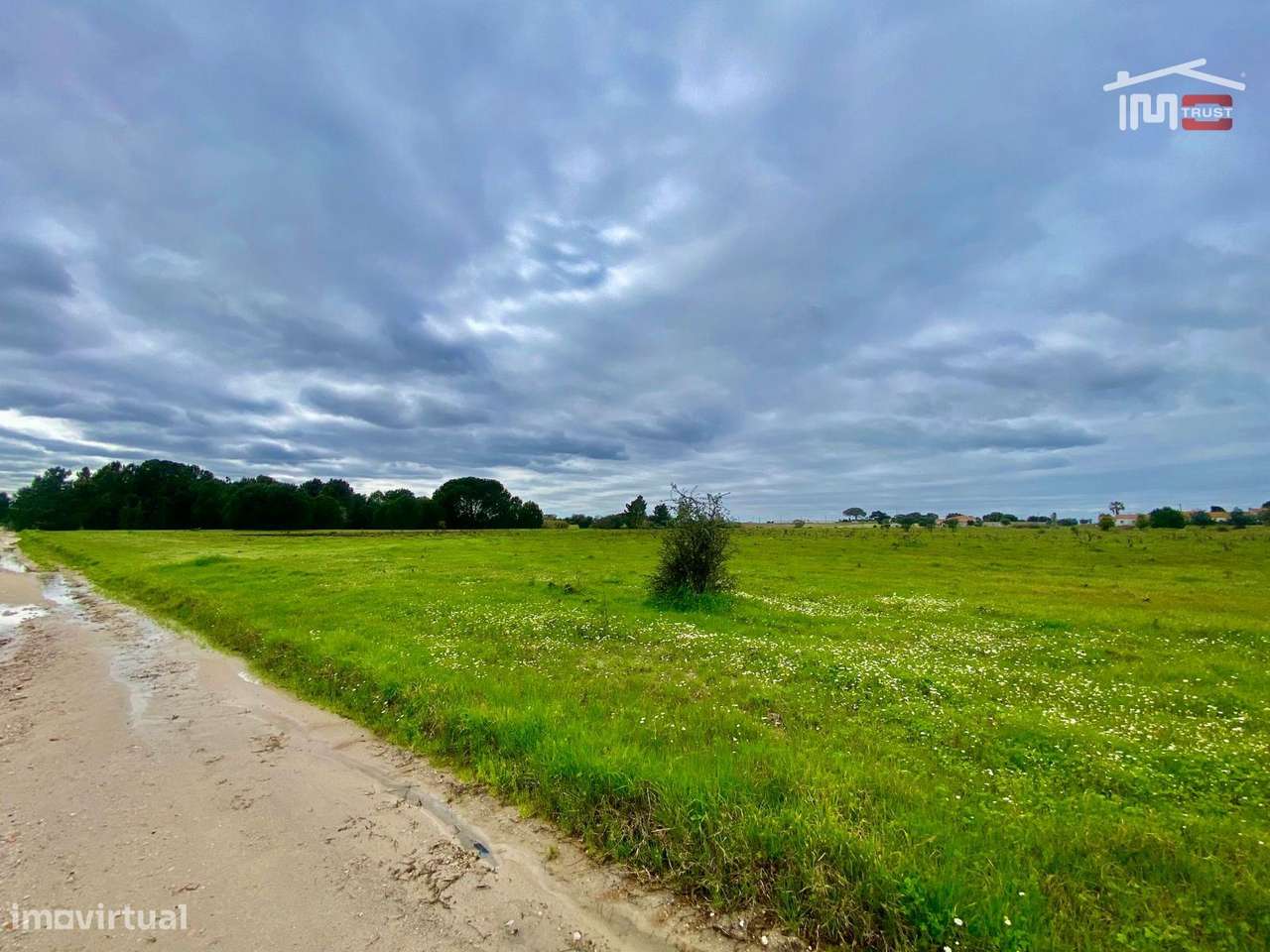 Terreno Rústico com 3.9ha Poceirão - Possibilidade de Construção Mo... - Grande imagem: 4/38
