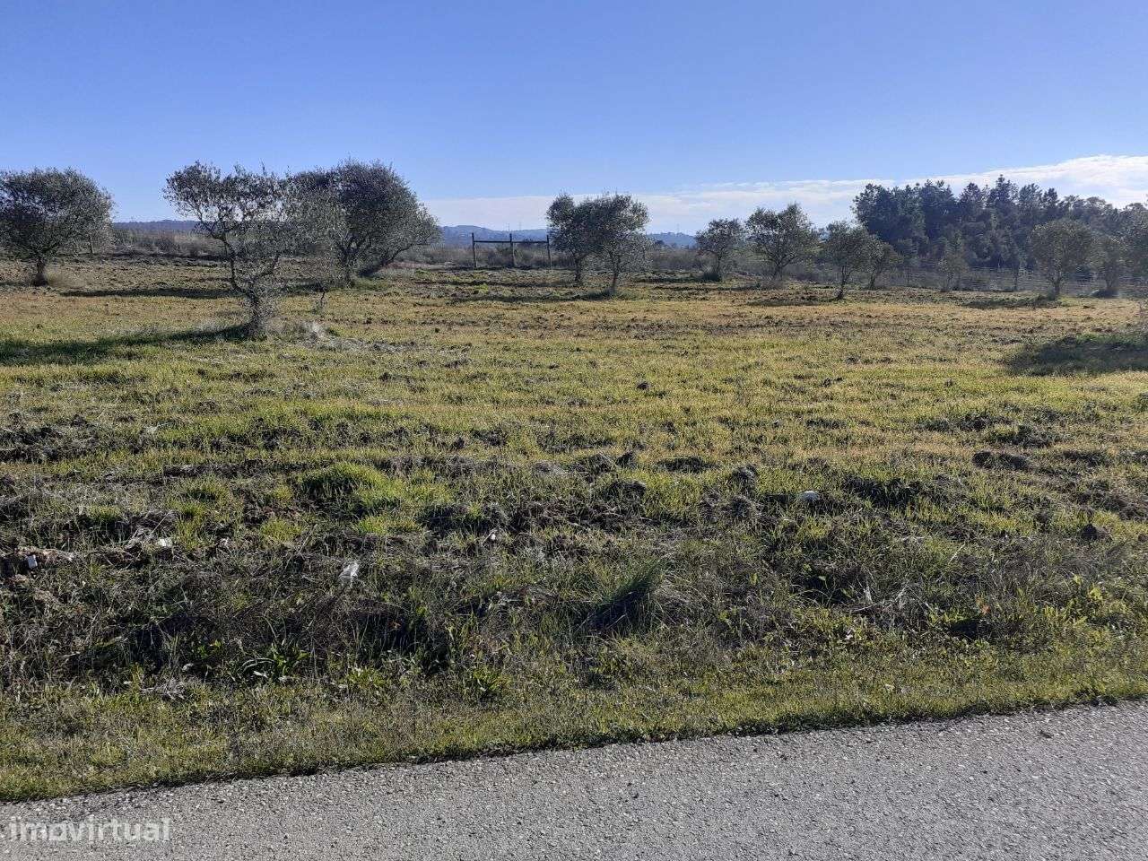 Terreno Rústico em Tomar - Grande imagem: 4/11