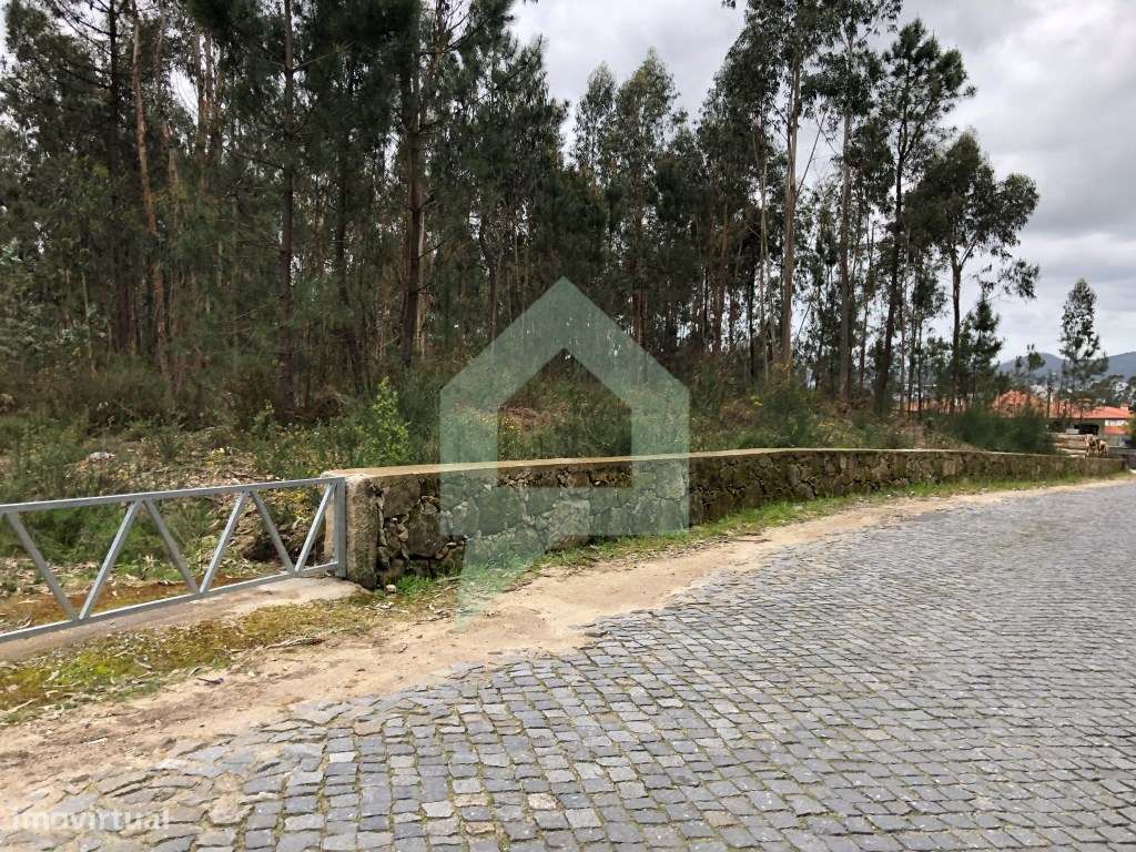 Terreno de pinhal inserido em zona de construção Alvelos, Barcelos - Grande imagem: 5/15