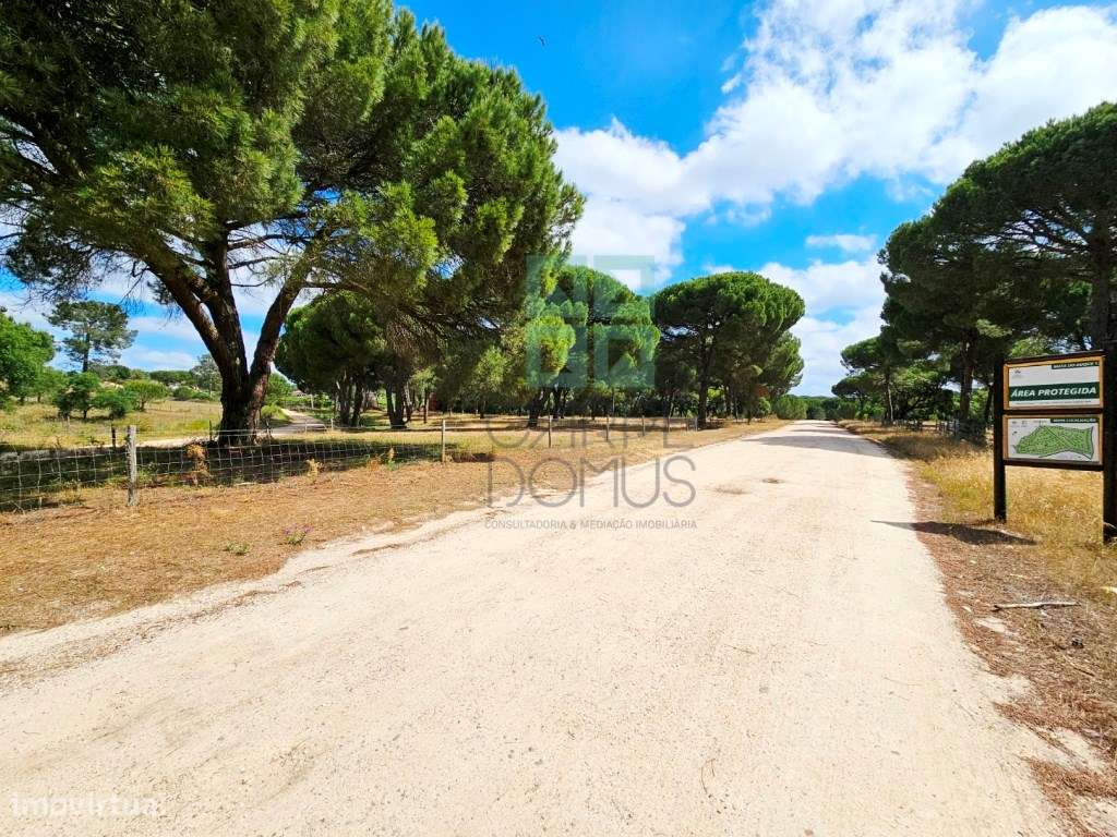 Lote de Terreno de 33.300m2, com lagoa, na Mata do Duque 1, Santo E...-8