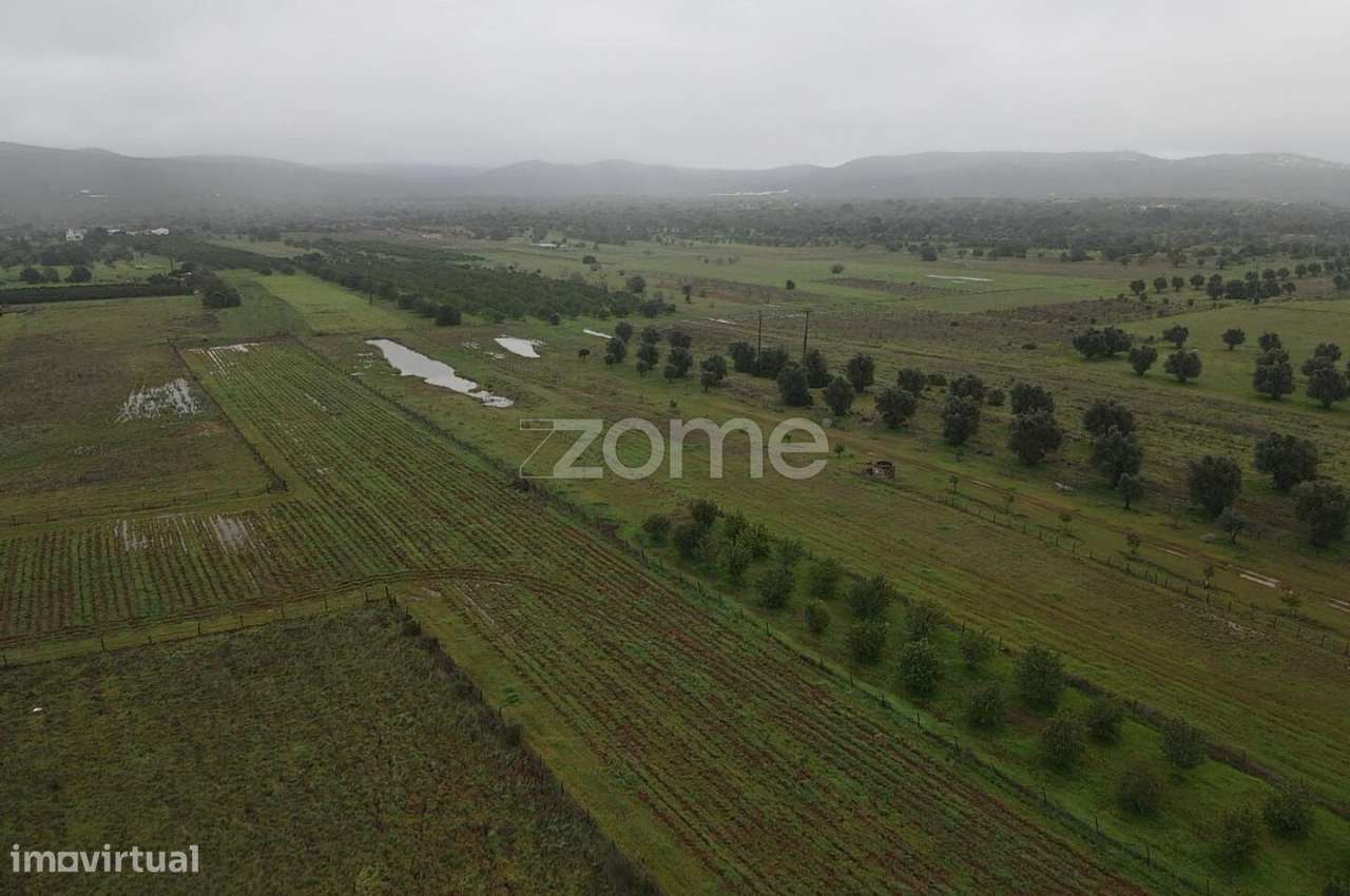 Terreno Rústico c/ 2.440m2 em Lenciscais, Paderne, Albufeira - Grande imagem: 2/16
