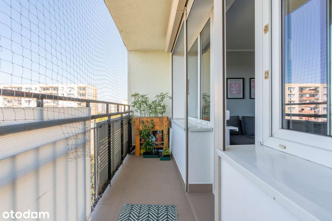 3 pokoje/oddzielna kuchnia/odświeżone/balkon/piwnica/widok na zieleń-12