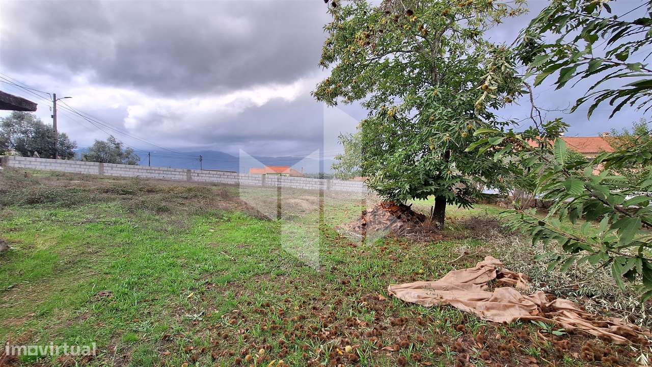 Moradia Devoluta T0 Venda em Molelos,Tondela-10