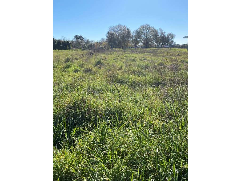 Terreno para Construção - Grande imagem: 5/7