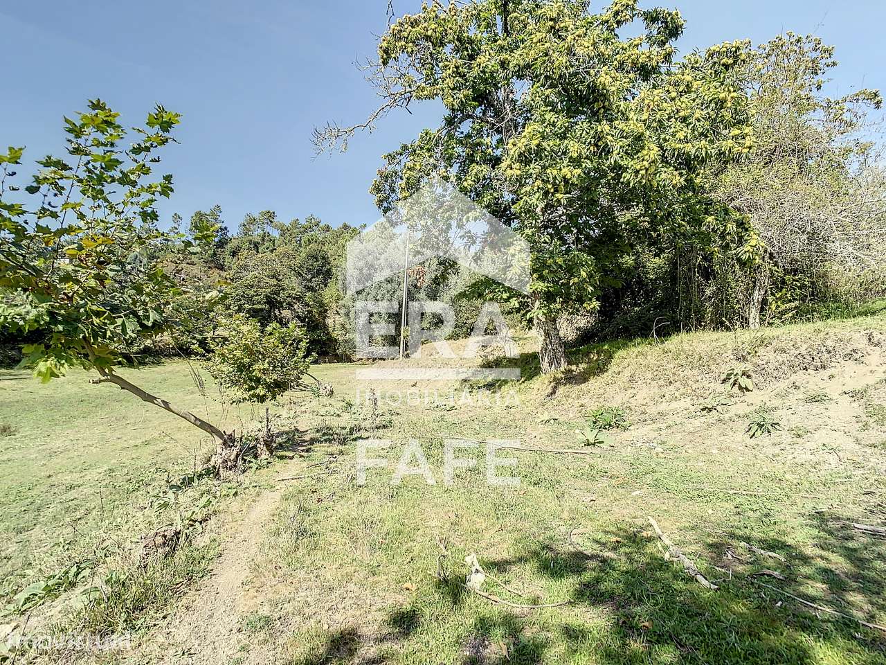 Duas moradias em pedra para restauro - Grande imagem: 4/23