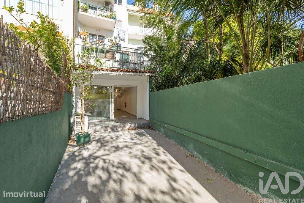 Loja / Estabelecimento Comercial T4 em Estrela de 150,00 m2 - Grande imagem: 3/20