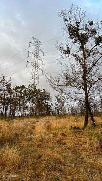 Terreno Rural e Goveia São Simão - Perfeito para Offgrid - Grande imagem: 4/11