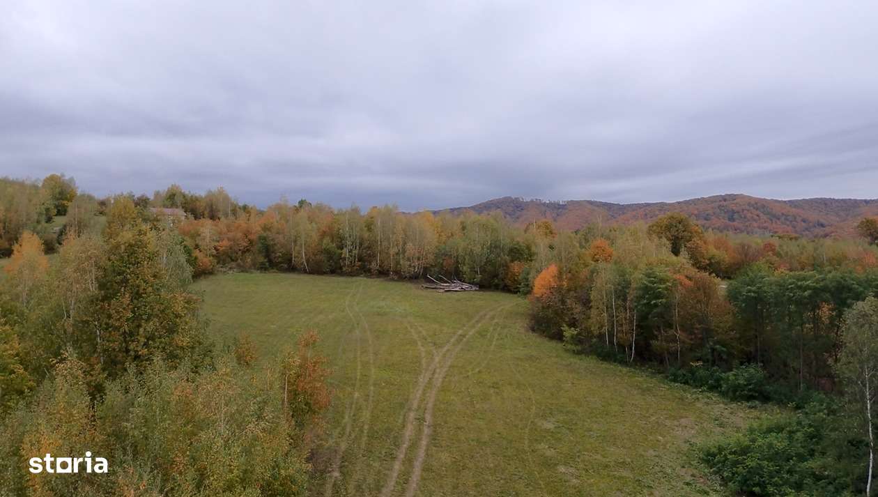 Teren cu energie specială/Fagaras/Plata in max 3 rate-8