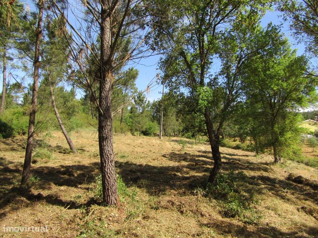 P26-238 Casal da Loba - Terreno Urbanizável no Centro de Portugal e...-21