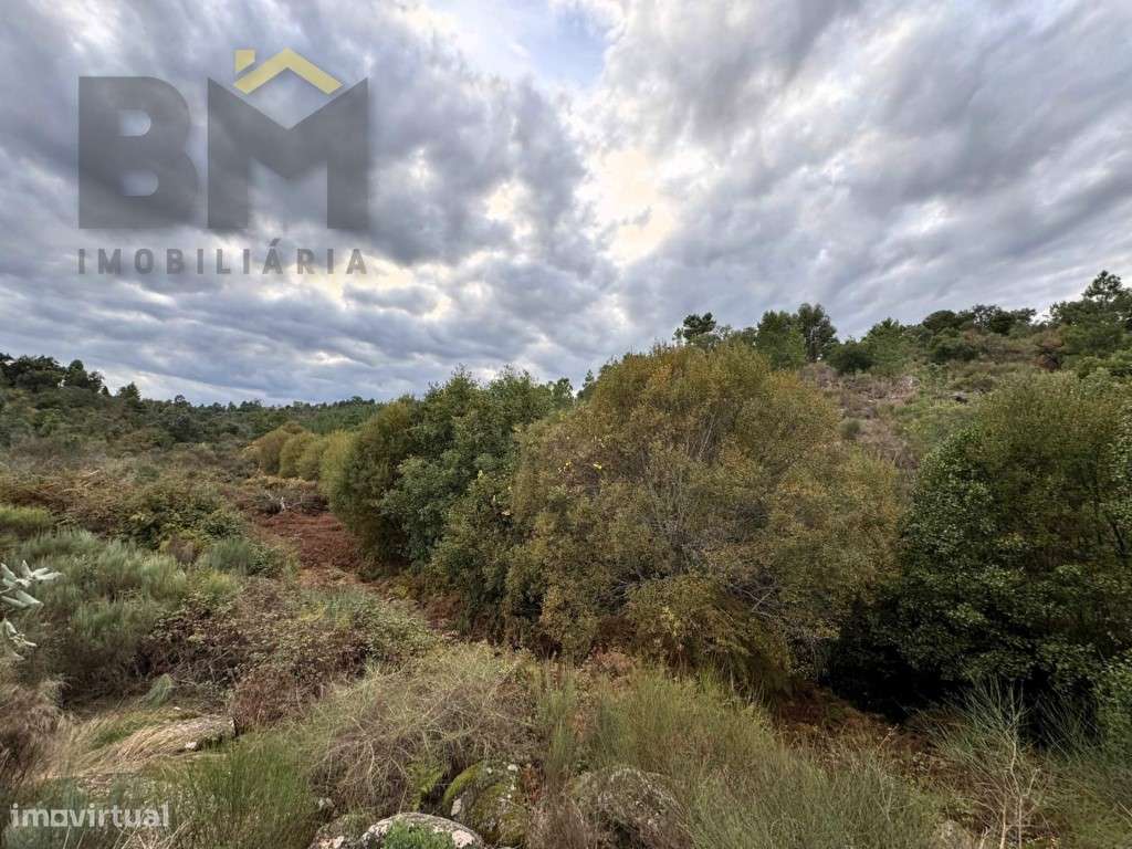 Terreno rustico com 12.750m2 para venda em Cafede! - Grande imagem: 5/7