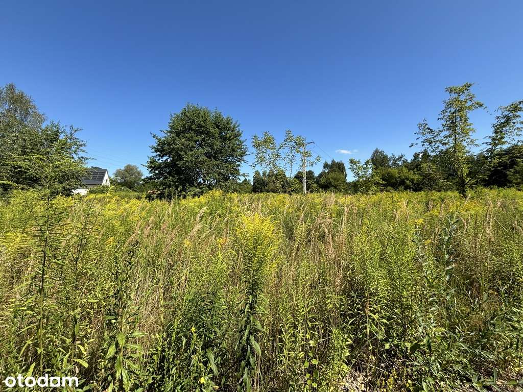 Sosnowiec – działki budowlane w spokojnej okolicy-3