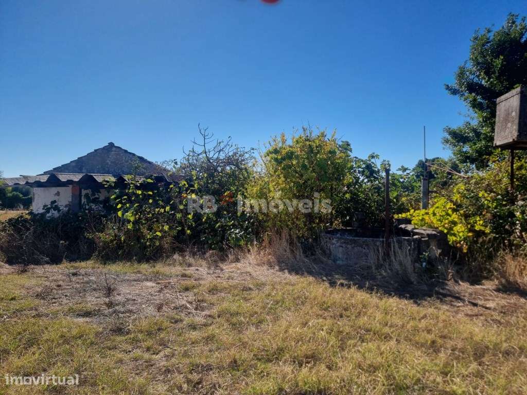 Terreno com 3980 m2 com ruina no Entroncamento - Grande imagem: 3/4