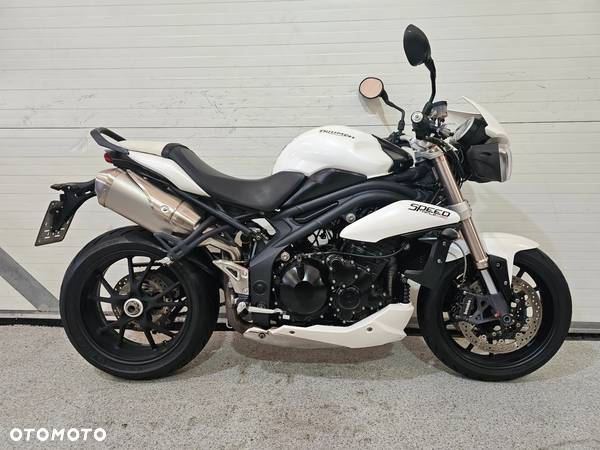 Triumph Speed Triple - 25