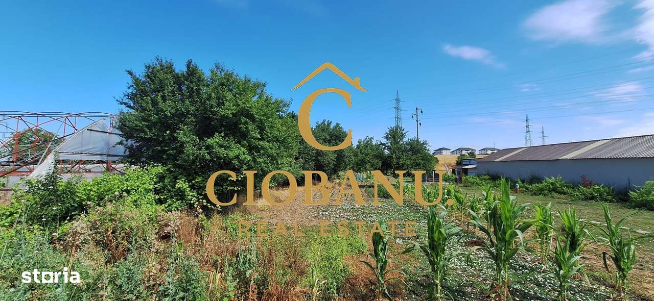 Teren intravilan de vanzare in Isalnita-8