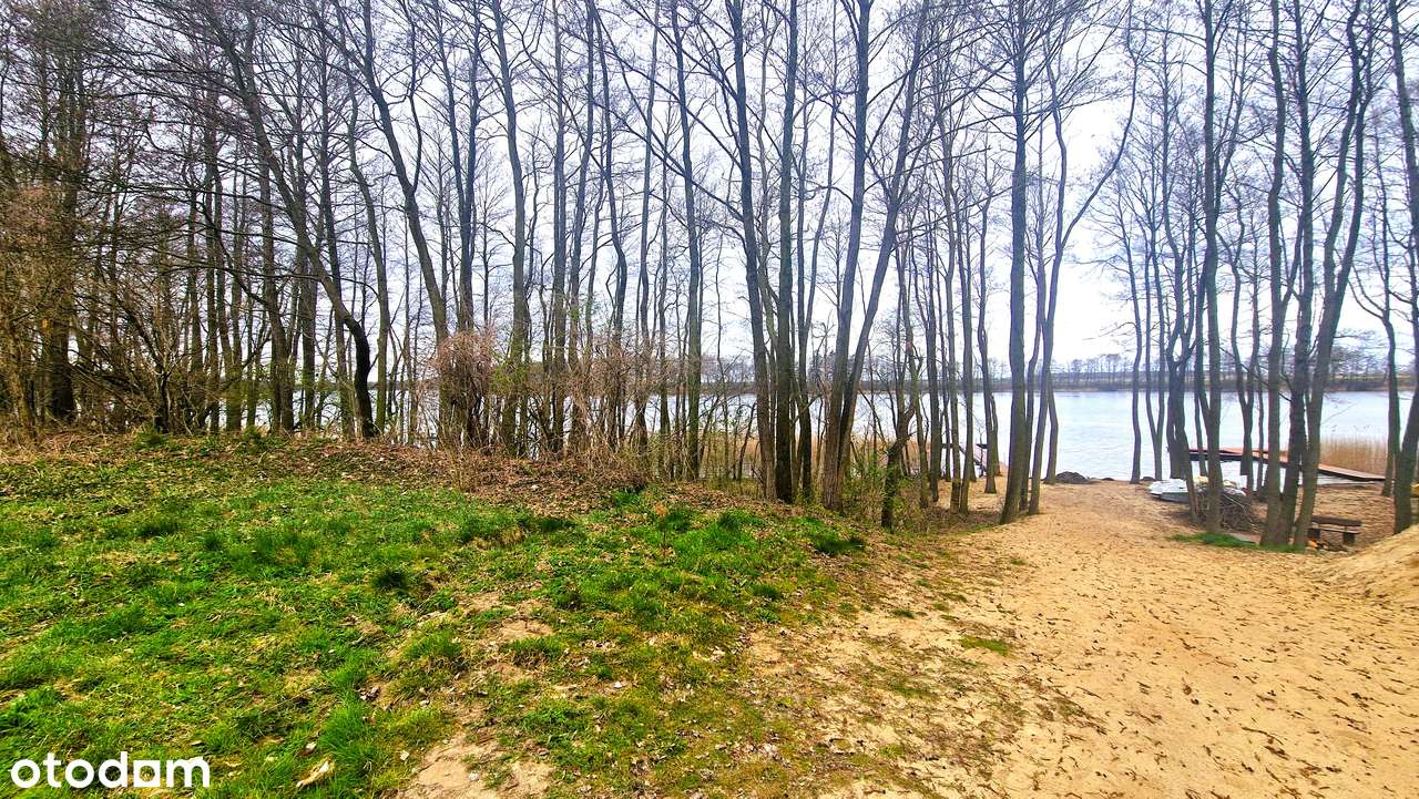 Jezioro, działki blisko plaży. Pełna własność - Pełny obrazek: 5/17