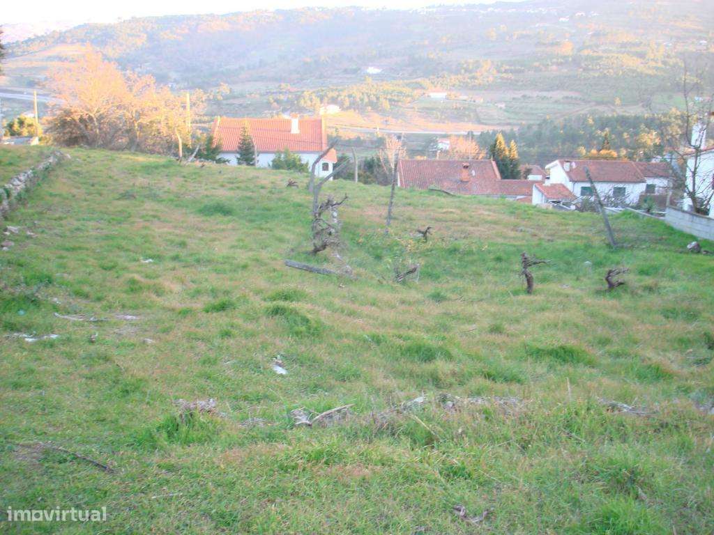 Terreno para construção - Grande imagem: 4/4