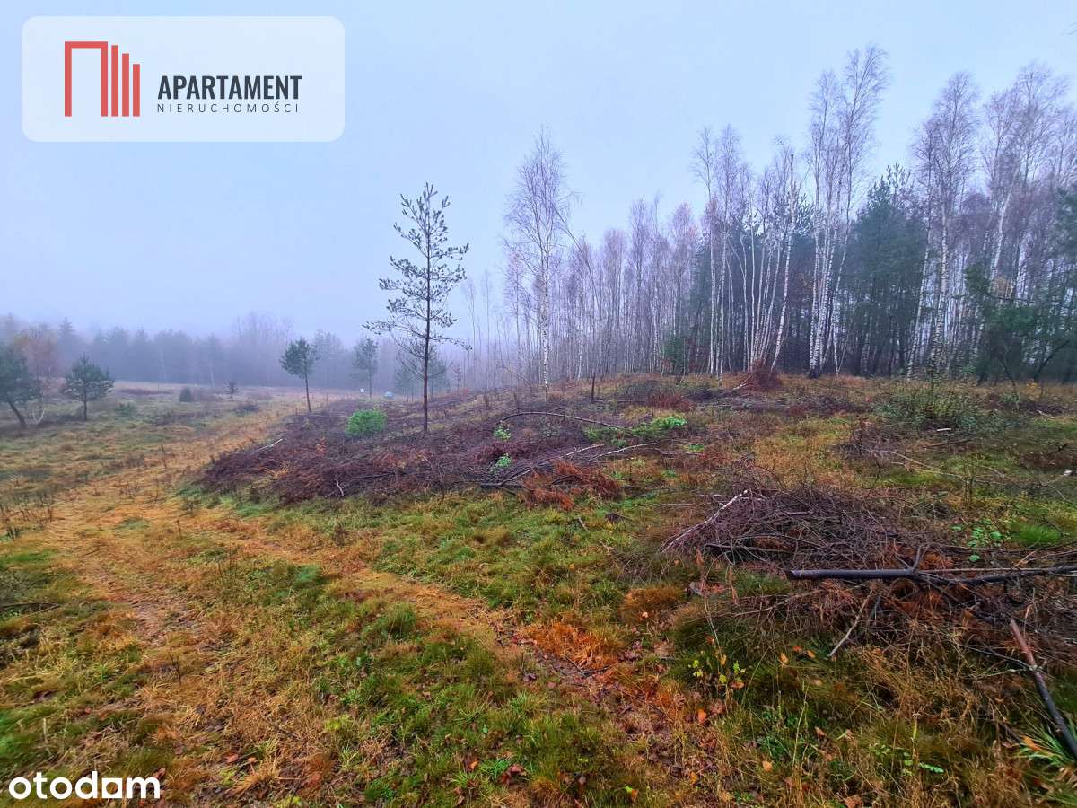 Okazja! Działki W Cichej I Spokojnej Okolicy!! - Pełny obrazek: 5/7
