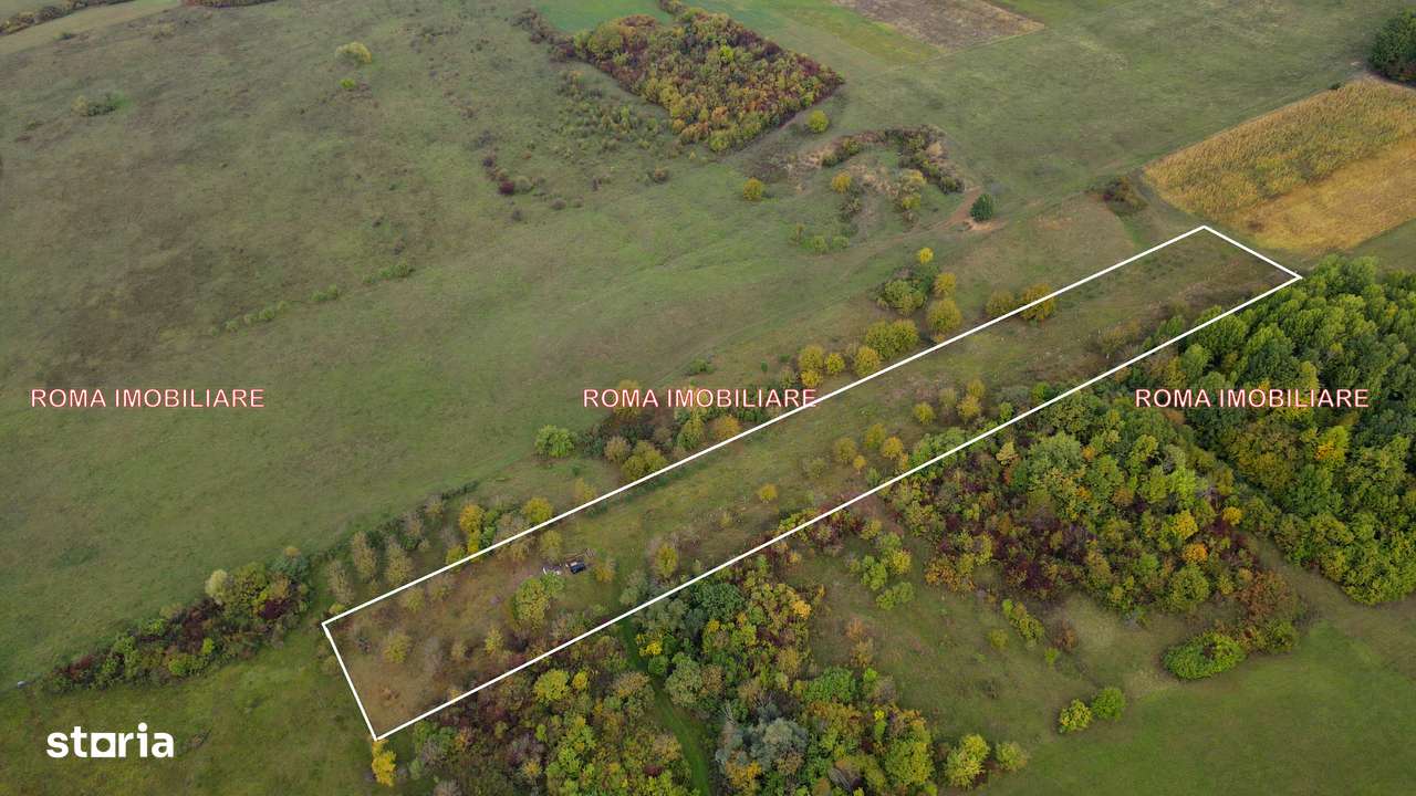 Berchez teren extravilan de vanzare - Imagine principală: 1/7