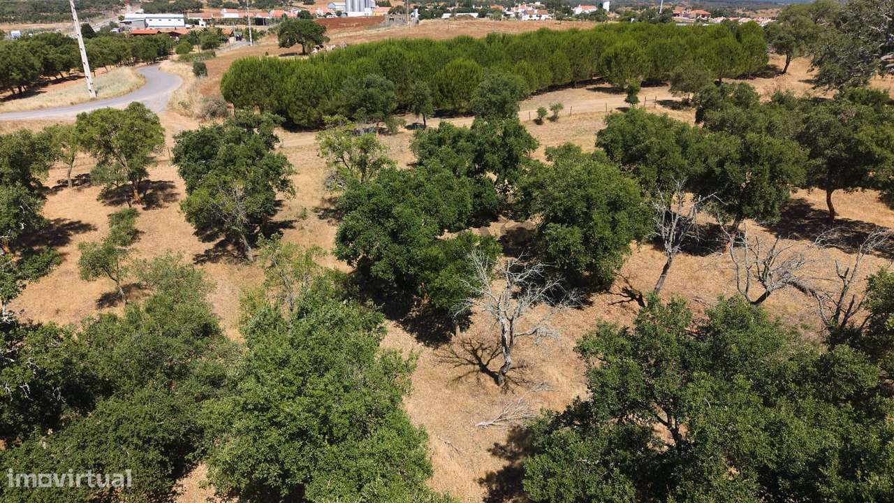 Monte Alentejano com propriedade de 13 HA-20