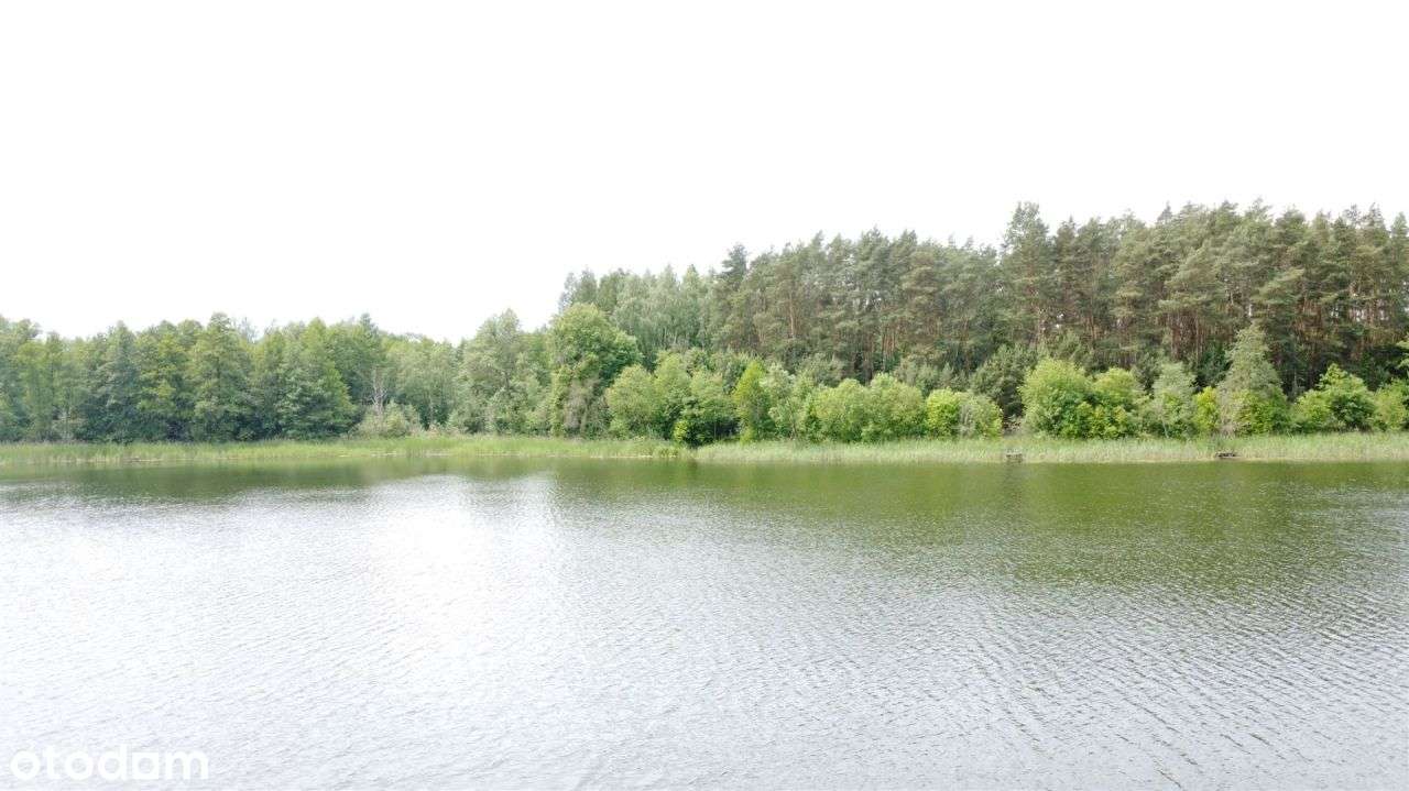 12 ha lasu z linią brzegową jeziora-4