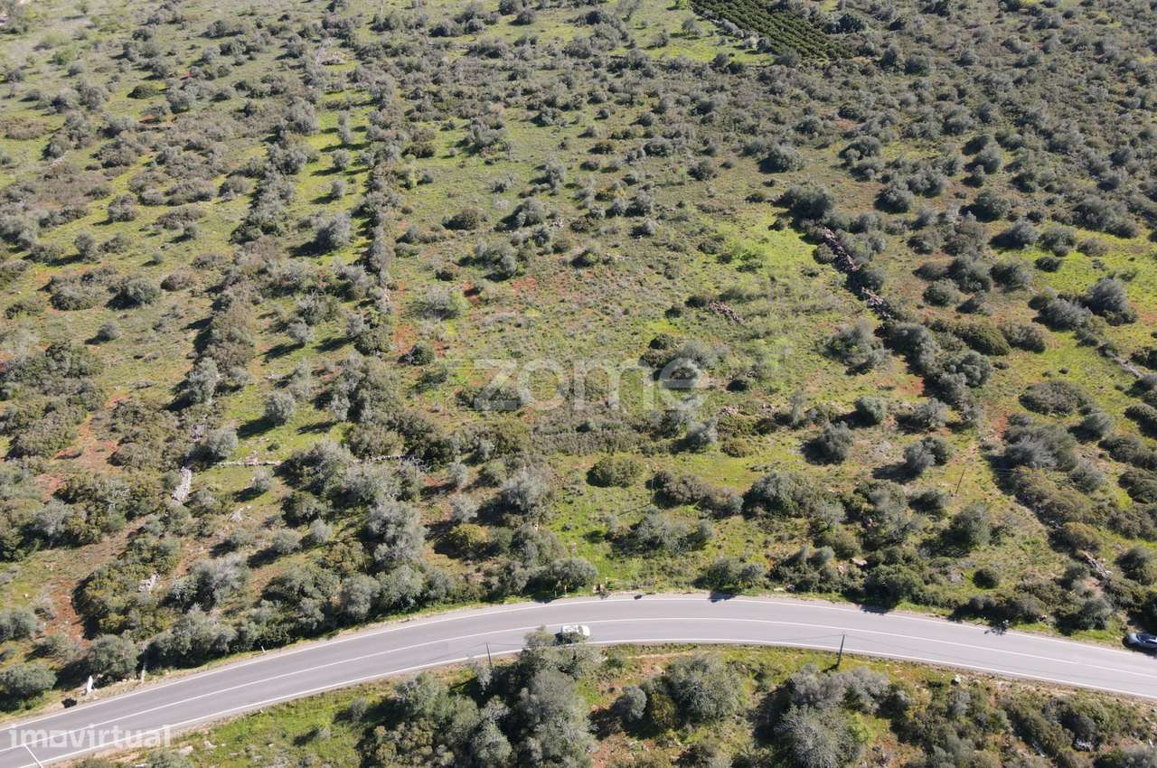 2 Terrenos Rústicos com uma área de 23.960m2, Messines - Grande imagem: 4/20