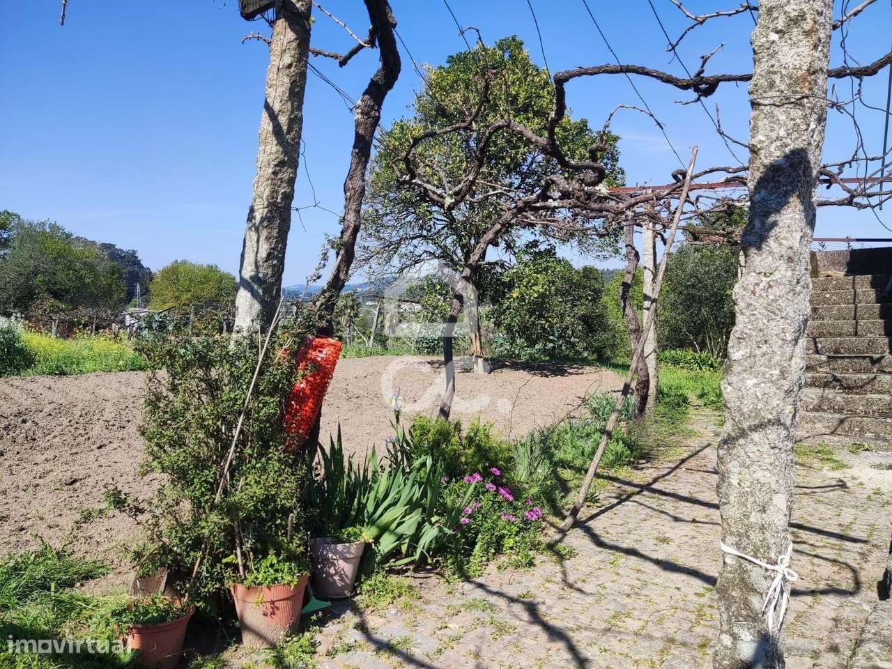 Quinta, Termas de São Vicente, Penafiel-20