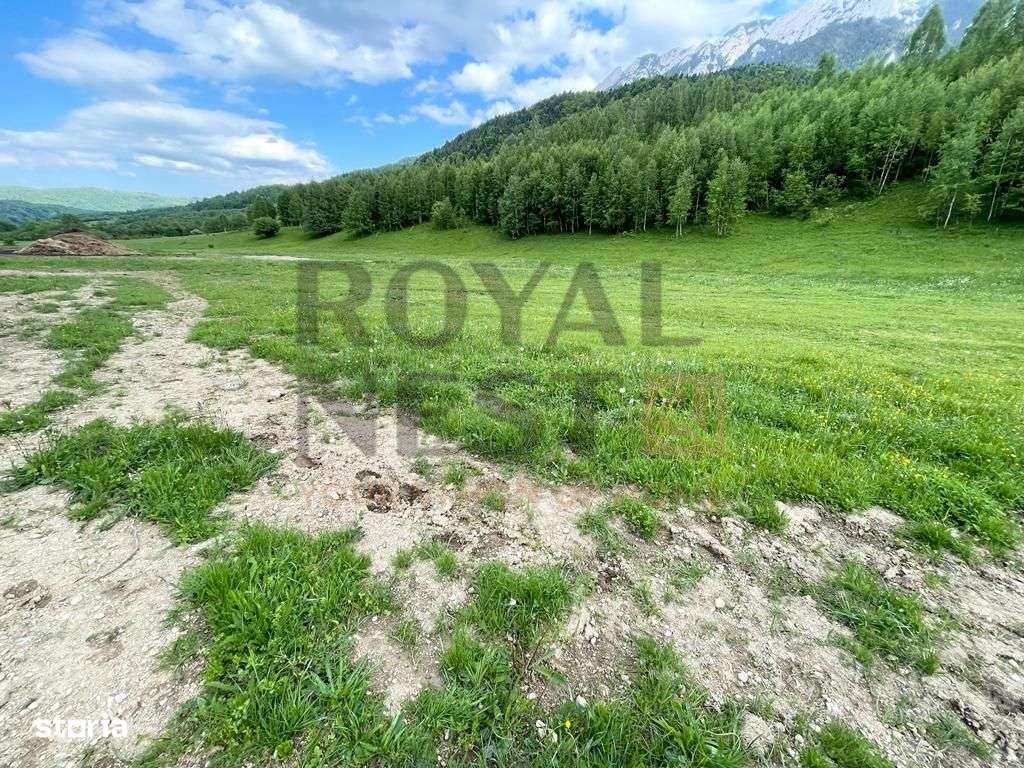 COMISION 0%! Teren superb la Plaiul Foii, pe malul Barsei - Imagine principală: 5/12