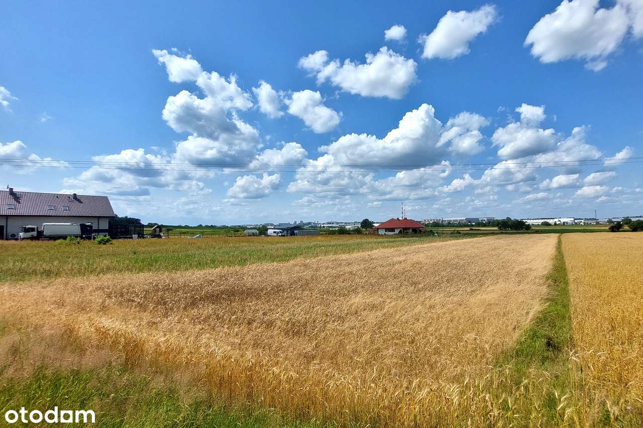 Duża działka budowlana z MPZP - Cielmice - Pełny obrazek: 3/7