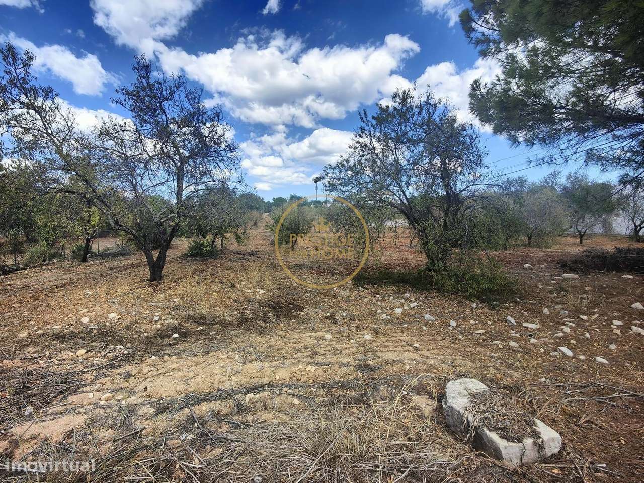 Terreno urbano com 2,136m2 com viabilidade de construção de 300 m2-6